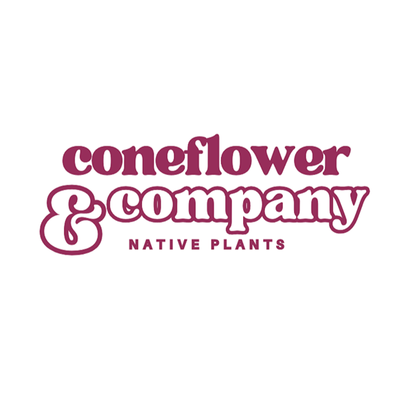 Coneflower & Company