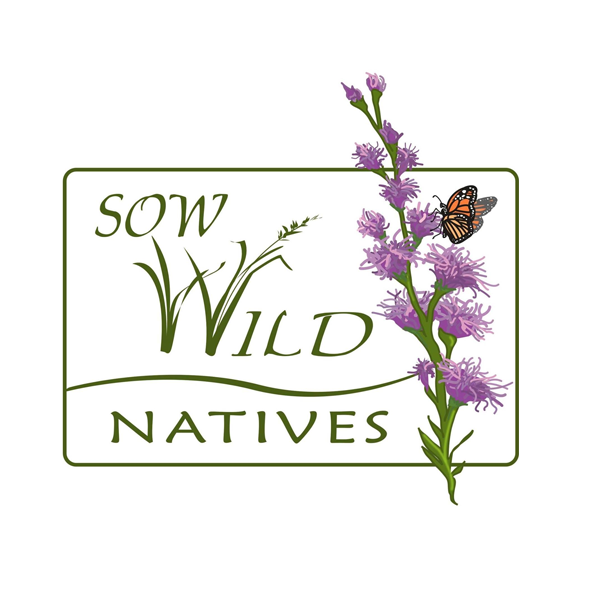 Sow Wild Natives