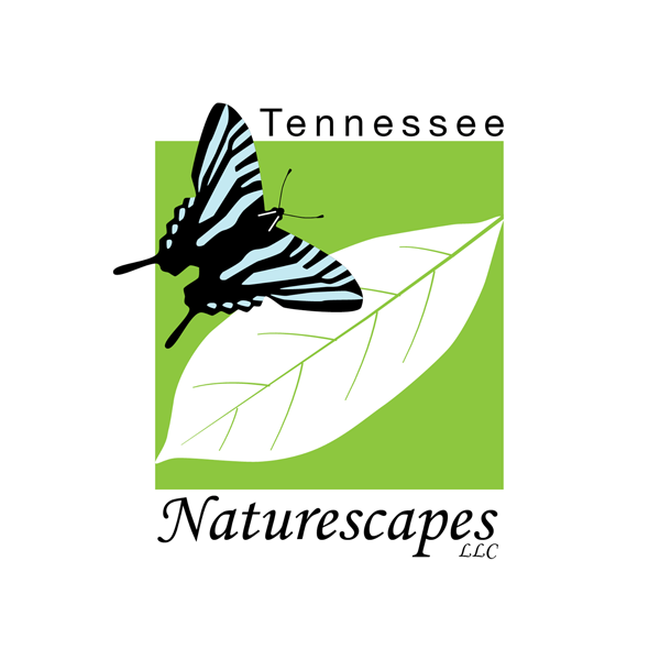 Tennessee Naturescapes Native Plants Nursery