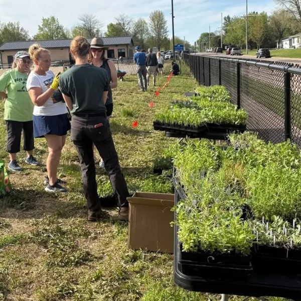 Three Springs Native Nursery
