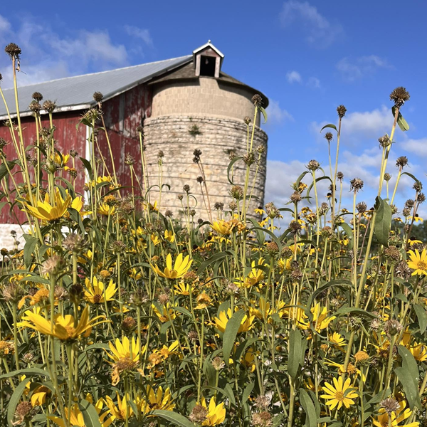 Stone Silo Prairie Garden