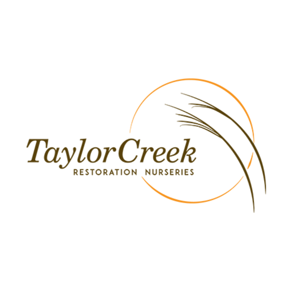 Taylor Creek Restoration Nursery