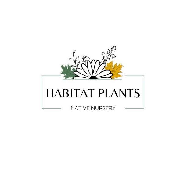 Habitat Plants Native Nursery