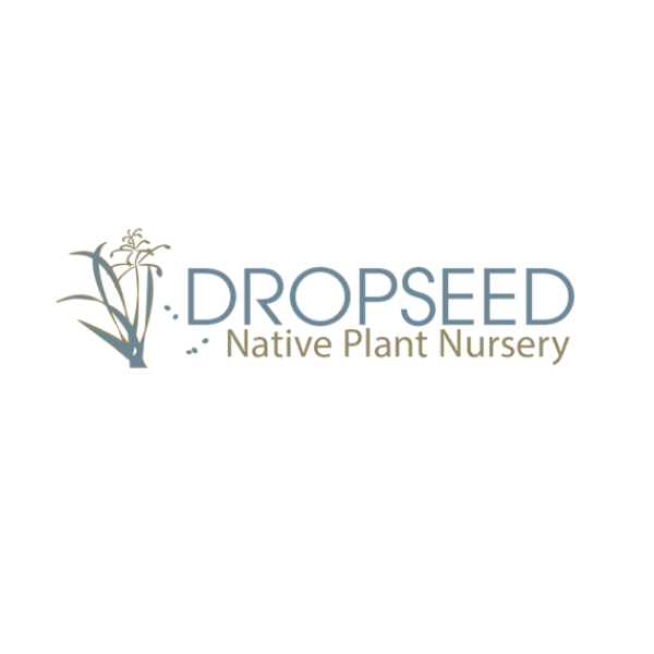 Dropseed Native Plant Nursery