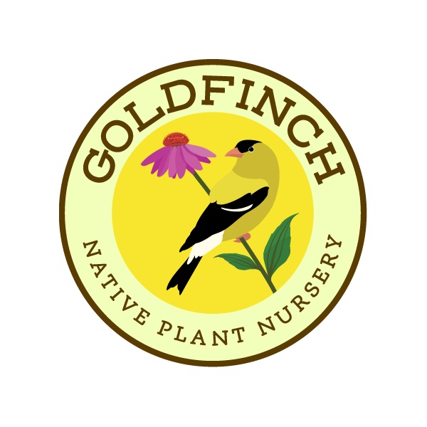 Goldfinch Native Plant Nursery