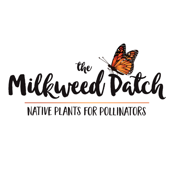 Milkweed Patch Native Plants for Pollinators
