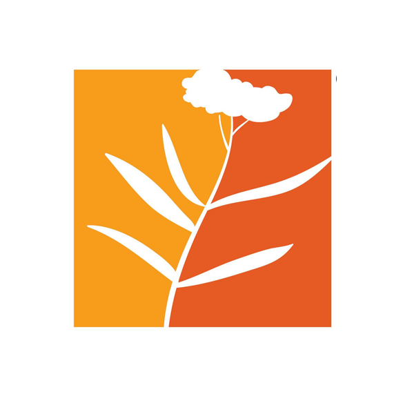Pizzo Native Plant Nursery
