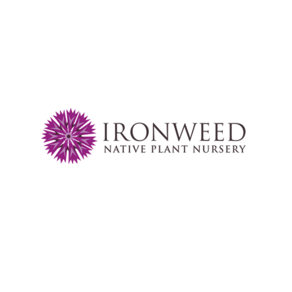 Ironweed Native Plant Nursery