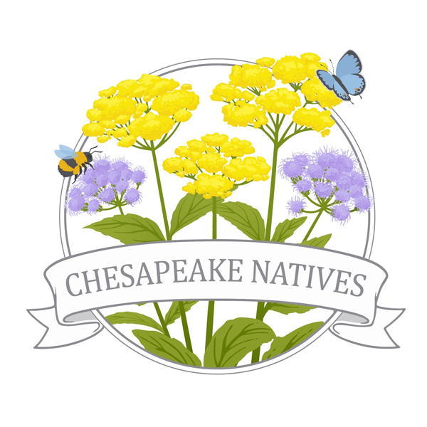 Chesapeake Natives