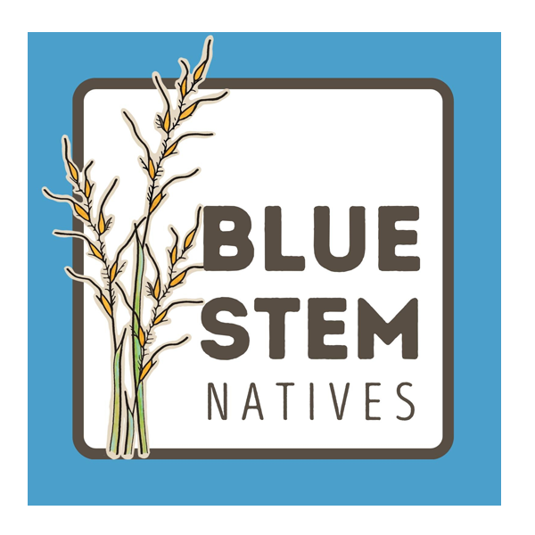 Blue Stem Natives
