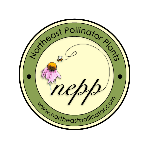 Northeast Pollinator Plants