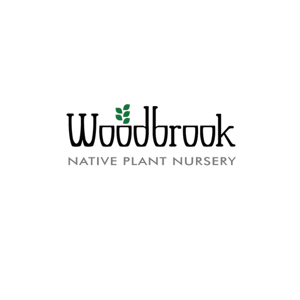 Woodbrook Native Plant Nursery