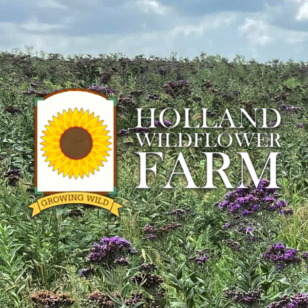 Holland Wildflower Farm