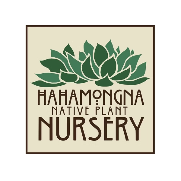 Hahamongna Native Plant Nursery