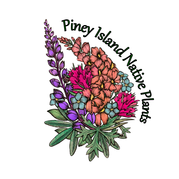 Piney Island Native Plants