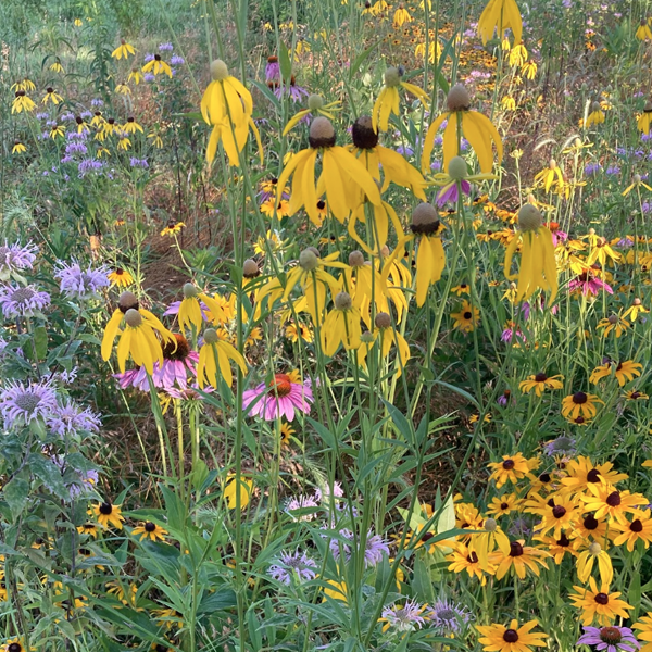 Bundle Sticks Farm and Education Center