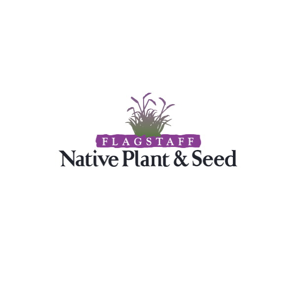 Flagstaff Native Plant and Seed