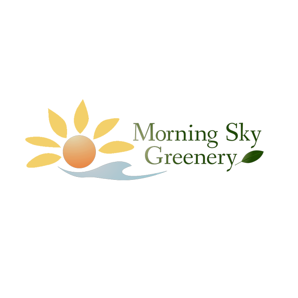 Morning Sky Greenery