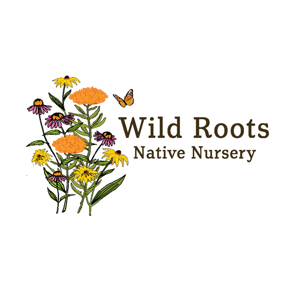 Wild Roots Native Nursery
